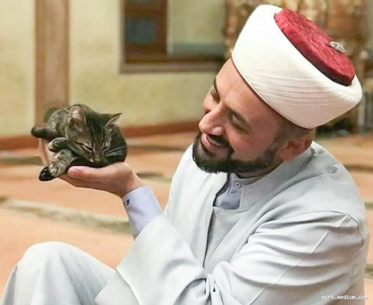 Can I Name a Cat After a Prophet? Exploring the Ethics and Implications