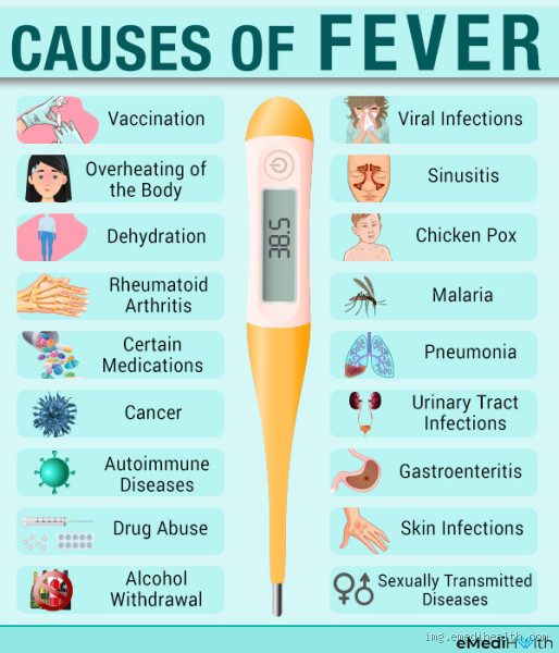 What Causes a 42°C Fever? Understanding High Temperature Triggers and Risks