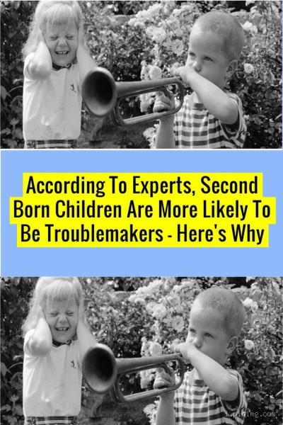 Are Second Born Children Troublemakers? Let's Find Out!