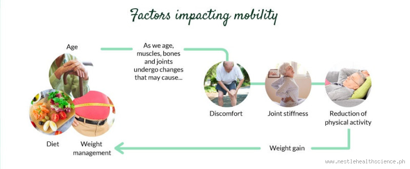 At What Age Do You Start Losing Mobility? A Deep Dive into Aging