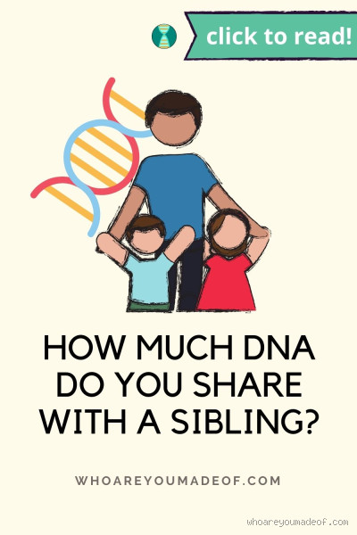 Can You Share More DNA with One Sibling Than Another?