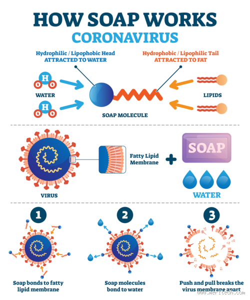 Does Any Soap Really Wash Away Bacteria? Let's Talk Soap, Science, and Memories