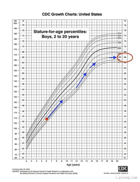 How Can You Predict a Child’s Height?