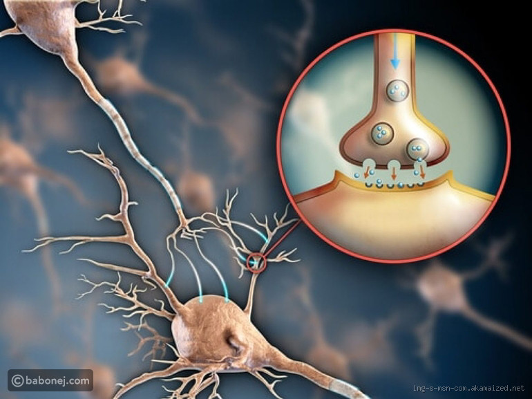 How Do You Control Hemoglobin Levels Naturally?