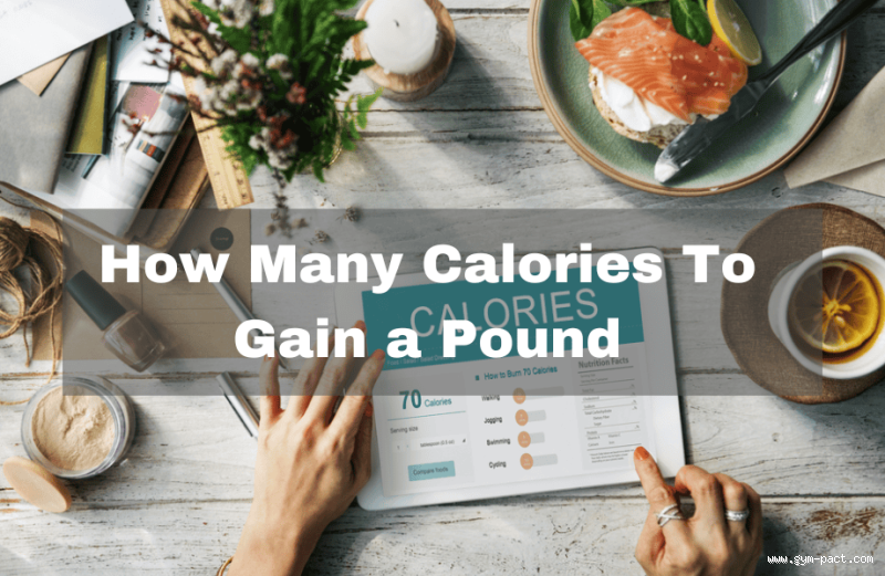 How Many Calories a Day to Gain 1 Pound a Day? Let's Break It Down