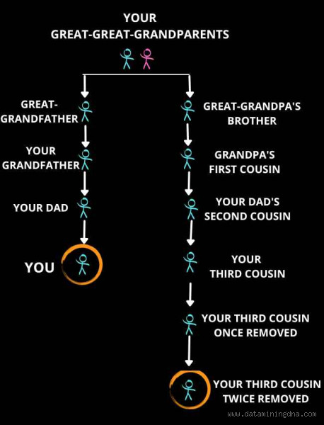 Is 3rd Cousin Inbreeding? Exploring the Truth Behind the Question