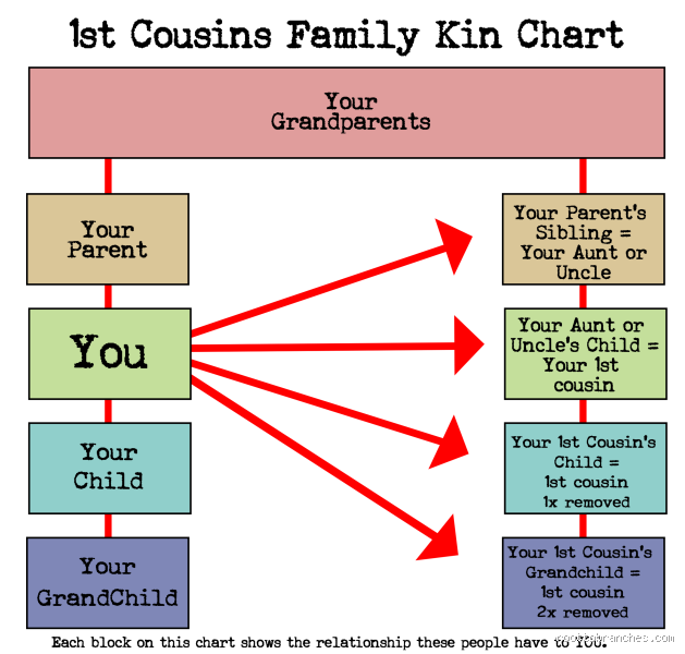 Is my niece my Cousin?