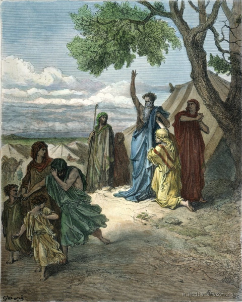 Is the First Born Son Like the Mother: Uncovering the Truth Behind the Myth?