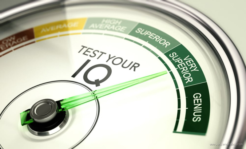 What is a High IQ for an 8-Year-Old? Here's What You Need to Know