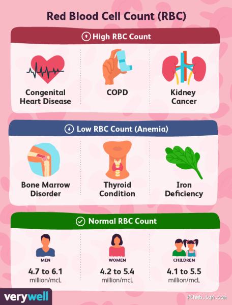 Understanding High Red Blood Cell Count: What Health Risks and Problems Does It Pose?