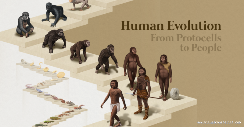 When Were Humans Born? A Journey Through Time and Evolution