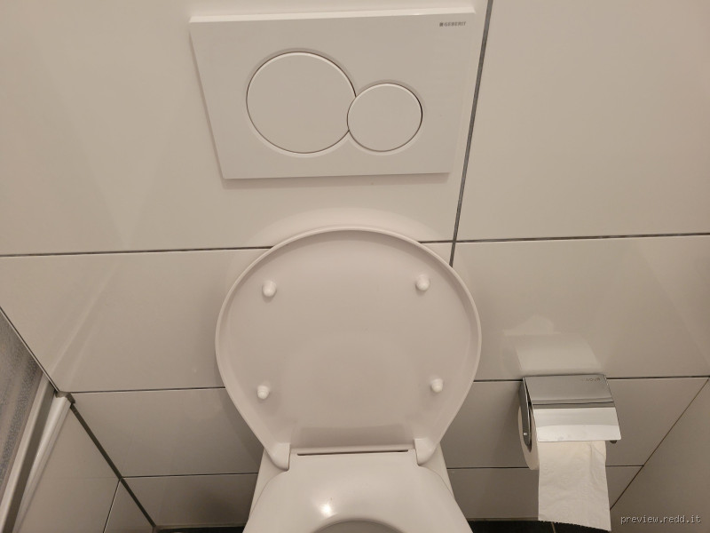 Why Do German Toilets Have Two Buttons? The Fascinating Reason Explained