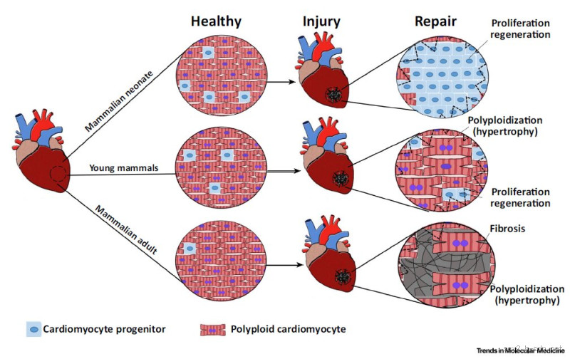 How Many People Survive Multiple Organ Failure? The Reality and Hope