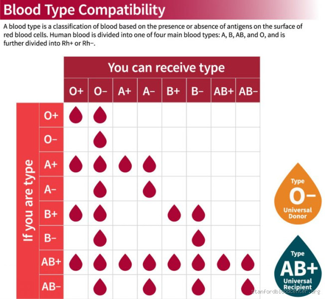 Can Disease Change Blood Type? What Science Really Says