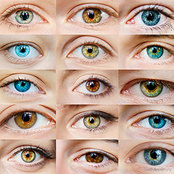 Can Two Brown Eyed Parents Have a Green Eyed Child?