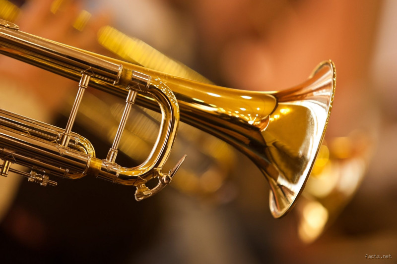 3 Fascinating Facts About Trumpets That Will Blow Your Mind