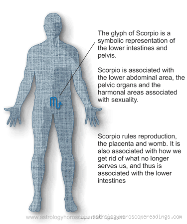 What is Scorpio's Favorite Body Part in Astrology?
