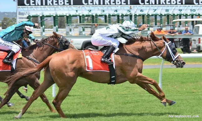 What Is the Average Jockey Salary? Inside the World of Racing Paychecks