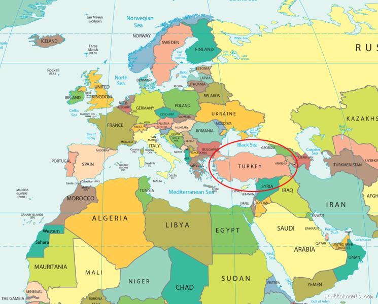 Where do most Turkish live outside Turkey?