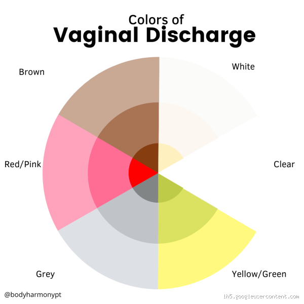 Is It Normal to Have Vaginal Discharge Every Day? The Truth You Need to Know